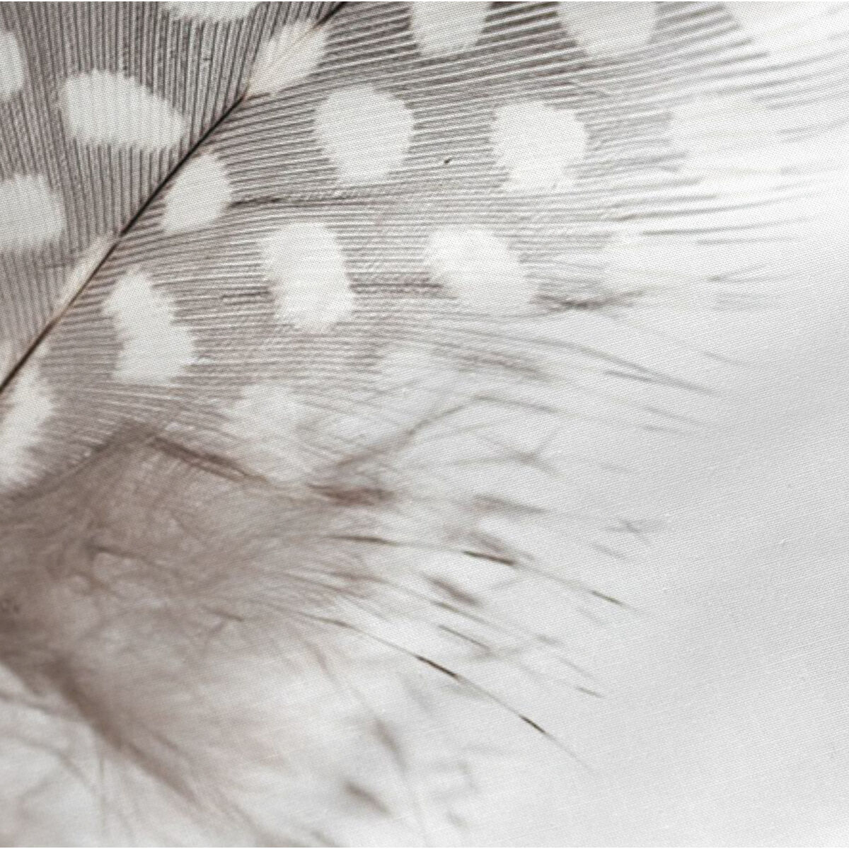 Capa de almofada HappyFriday Light Multicolor 45 x 110 cm (2 Unidades)